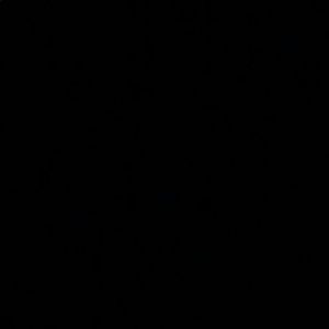 Meet your Posher, Lindsay